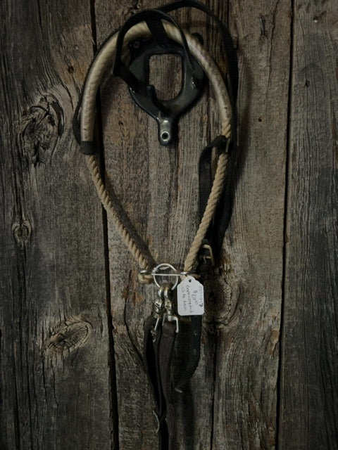 Rope Noseband with Tie Down