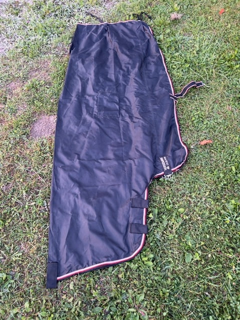 Black Horseware Ireland Mack in a Sack, Small