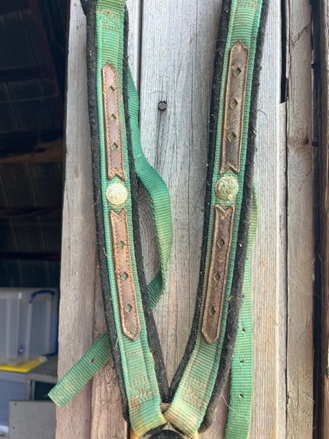 Green  Breast Collar, Full