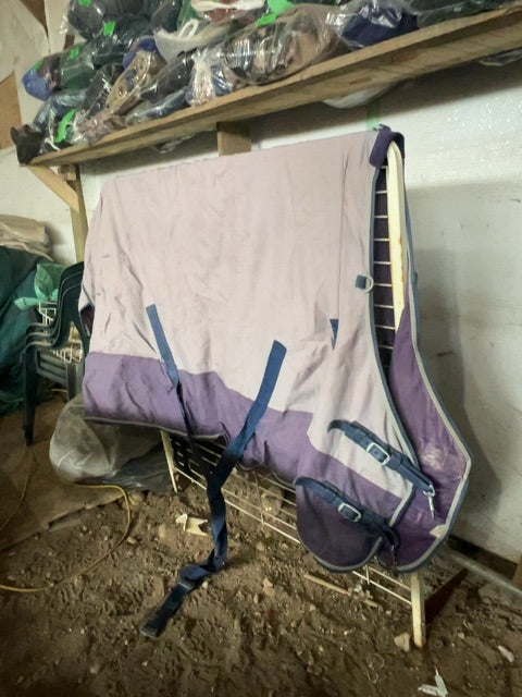 Purple Canadian Horsewear Maxim Winter Turnout, 80”