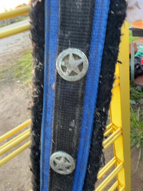 Royal blue  Breast Collar