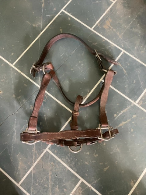 Brown  Leather Halter, Full