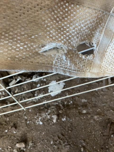 Cream  Scrim, 72"