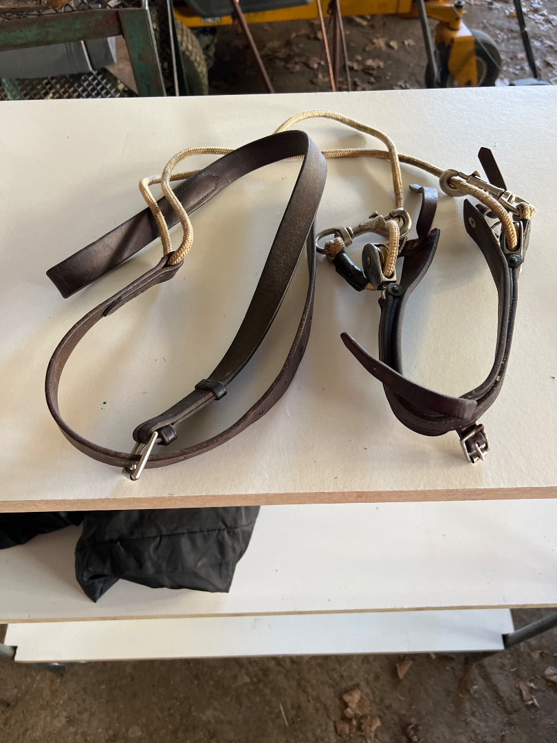 Abbot-Davies Balancing Rein