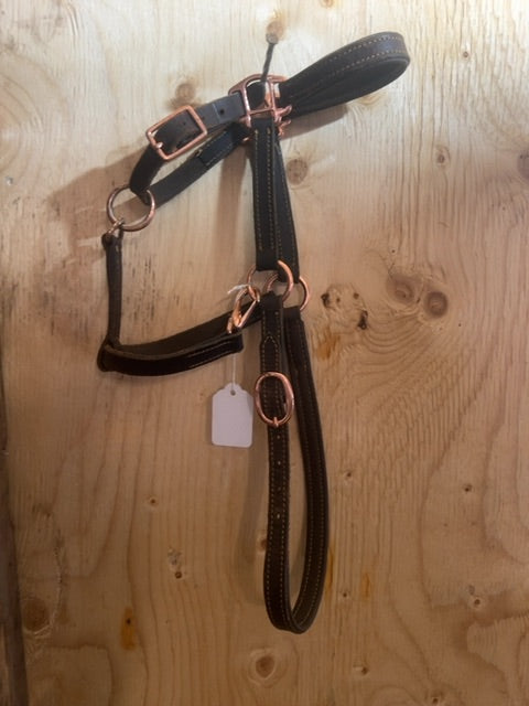 Brown  Leather Halter with Rose gold, Pony