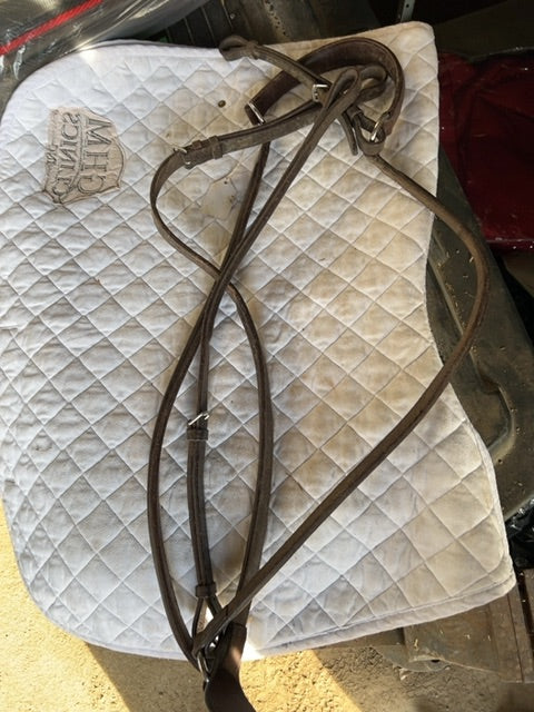 Brown  Breastplate with standing, Full