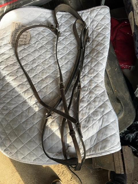 Brown Connemara Martingale, horse