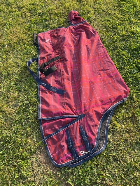 Pink Plaid Pessoa Winter Turnout, 72”