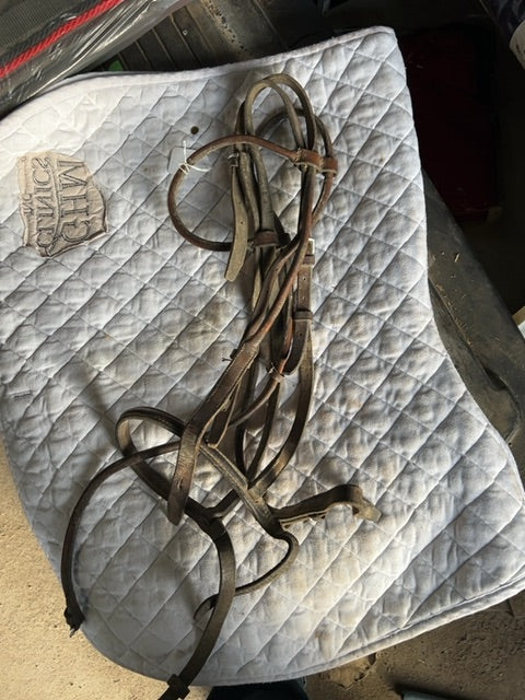 Brown  Rolled Headstall, Full