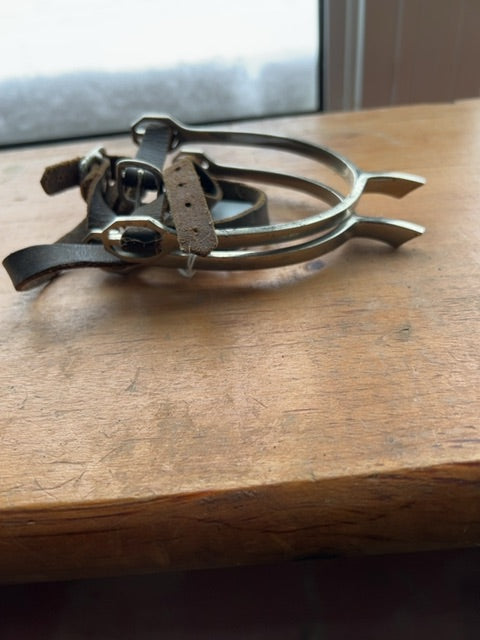 Fishtail Spur with leather strap, ladies