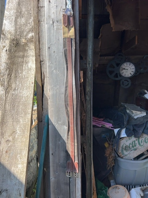 Brown Whitman Girth, 42"