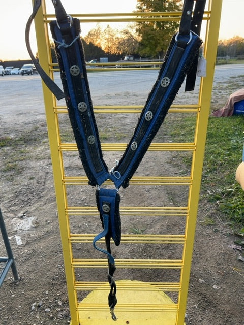 Royal blue  Breast Collar
