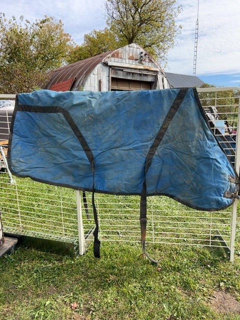 Blue Colleen's Custom Stable Blanket, 75"