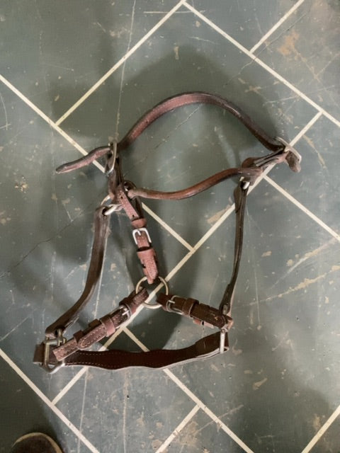 Brown  Leather Halter, Full