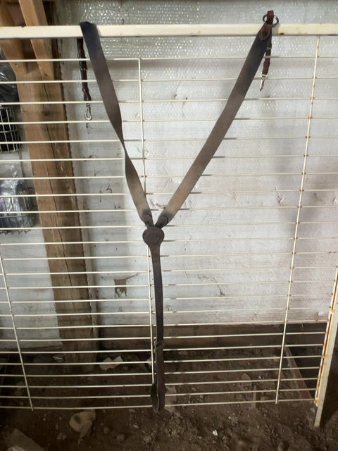 Brown  Elastic Breastplate, Warmblood