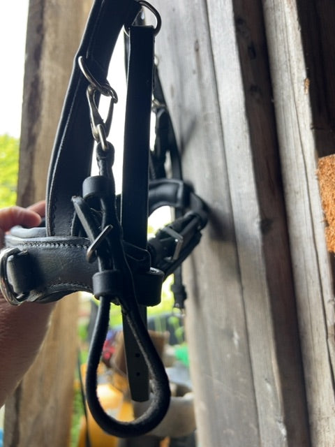 Black Waldhausen Lunging Cavesson, Full