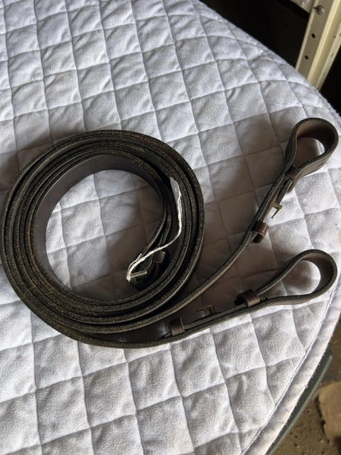 Brown  Reins