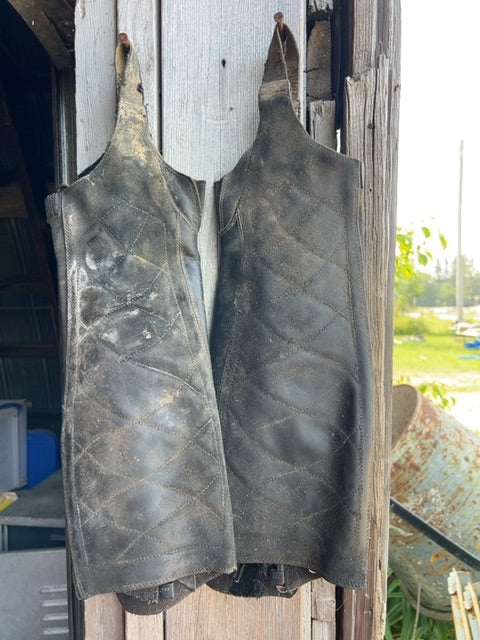 Black Ariat Classic II Half Chaps, Small