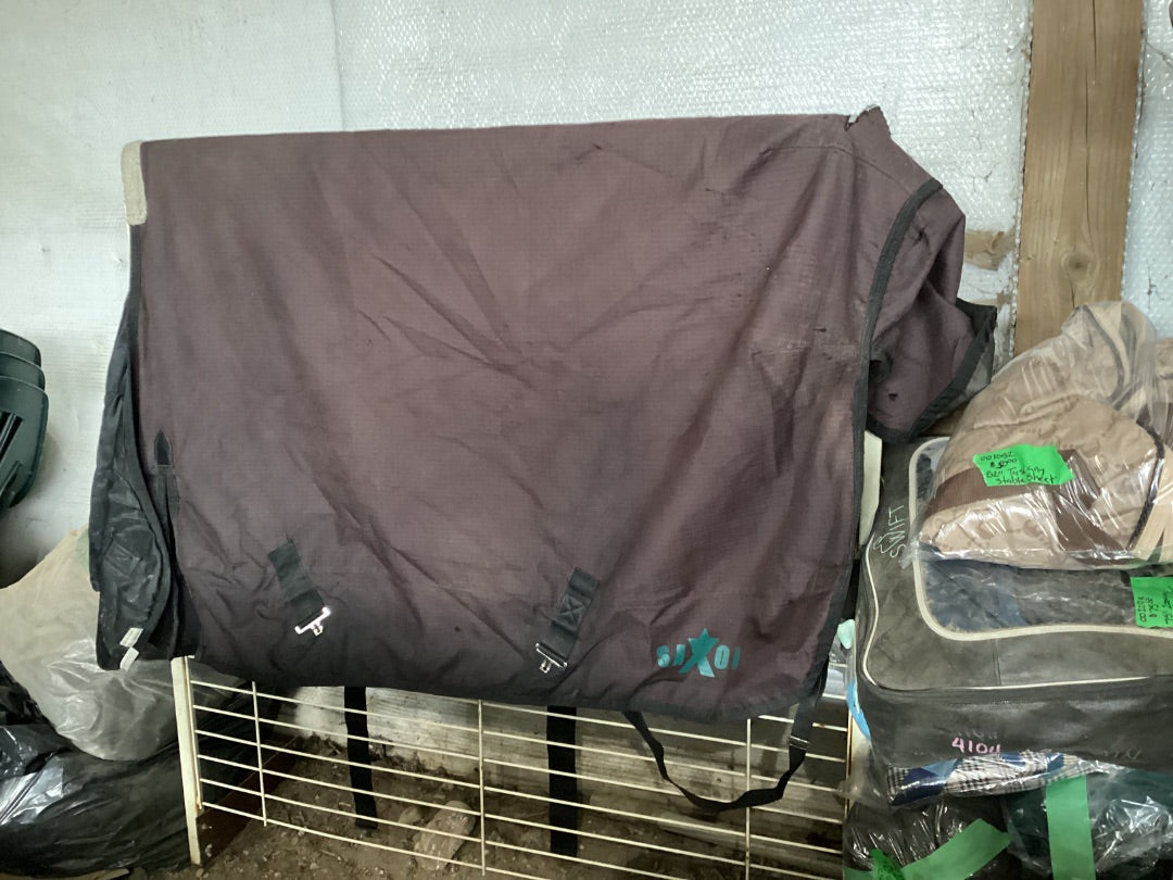 Black Saxon Winter Turnout, 69”