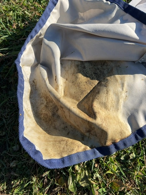 Silver Bucas Buzz off Rain Classic, 75”