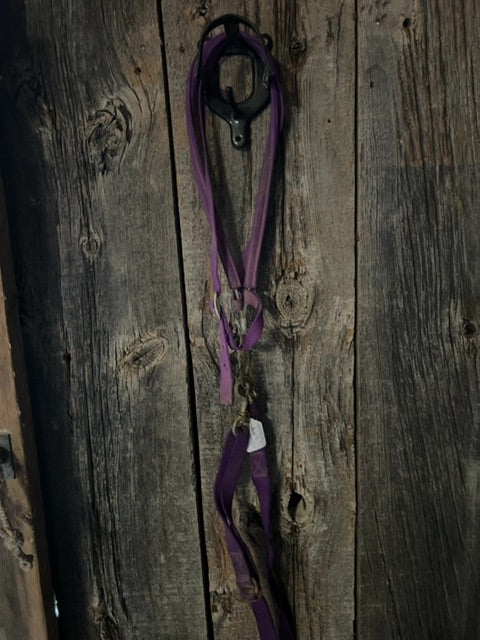 Purple  Nylon Tie Down