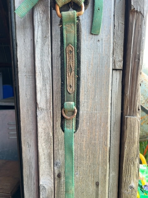 Green  Breast Collar, Full