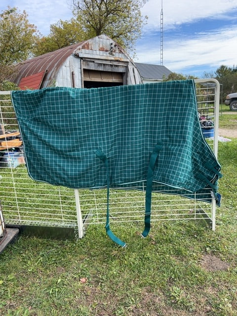 Green Check Cavalier Belmont Lightweight Poly Sheet, 80"