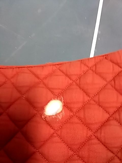 Orange Shedrow Saddle Pad, Full