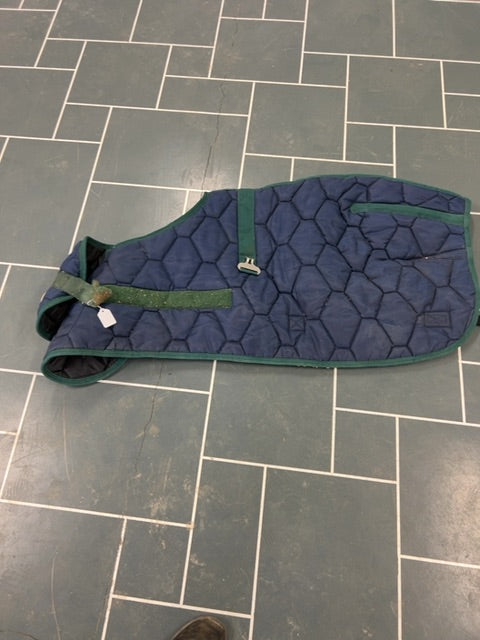 Blue Shedrow Foal, Large