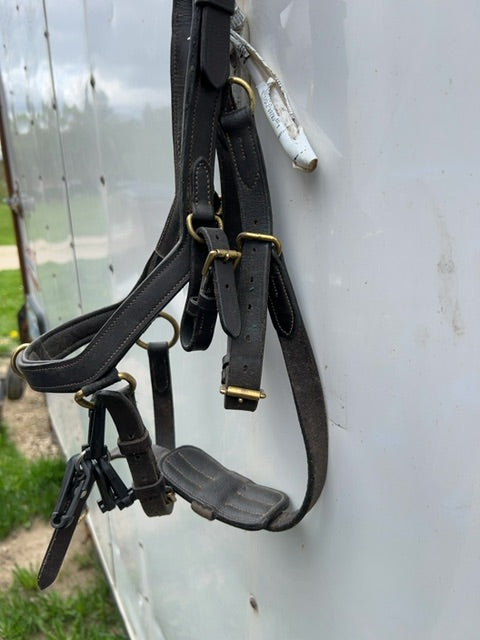 Dk brown Micklem Bridle, Horse