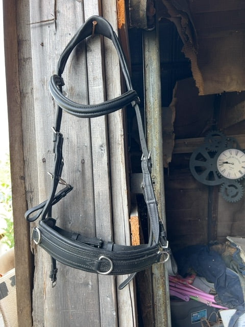 Black Waldhausen Lunging Cavesson, Full