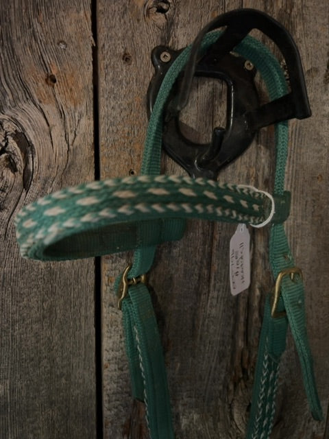 Green with White  Headstall