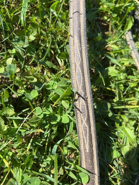 Standing Martingale, Full