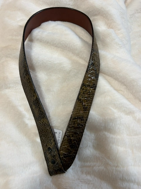 Tom Taylor Belt