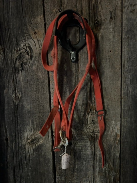 Red  Tie Down with Strap