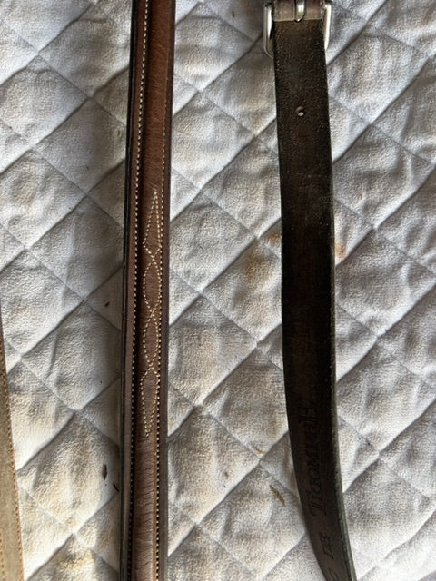 Brown Arc de Triomphe Fancy Stitch Raised Breastplate, Full