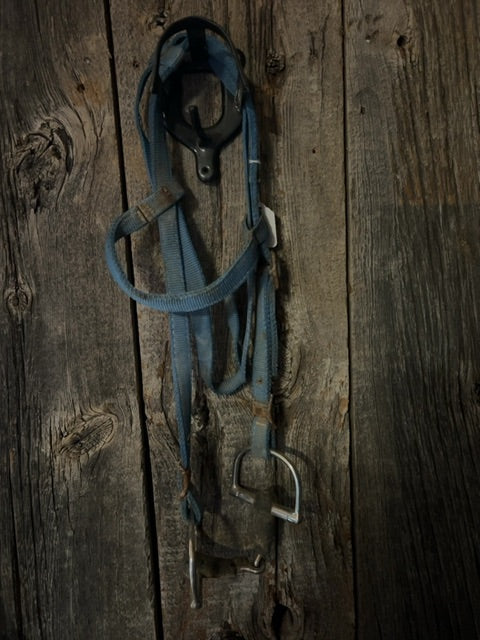 Blue  Nylon Headstall with Rubber D