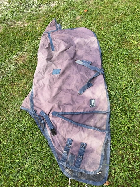 Blue Canadian Horsewear Maxim Rainsheet with adjustable gusset, 81”