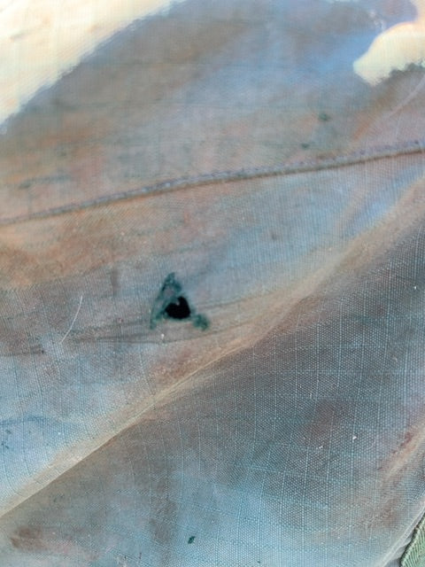 Green Saxon Rainsheet, 81