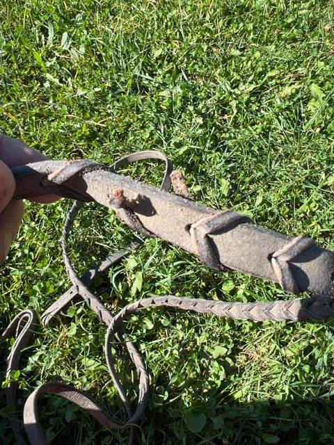 Laced Reins