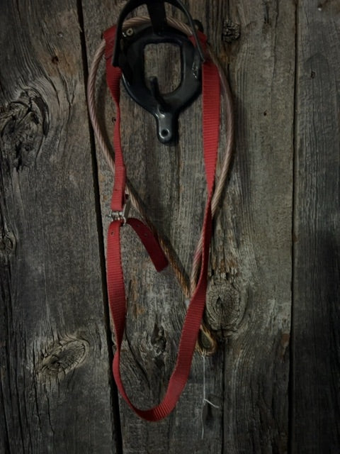 Red wire  Noseband