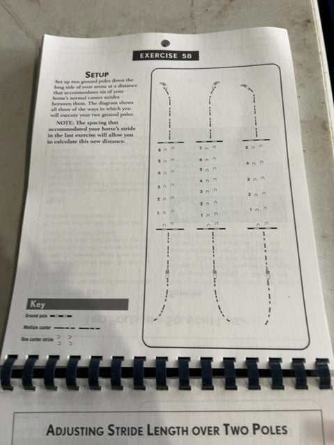 101 Jumping Exercises