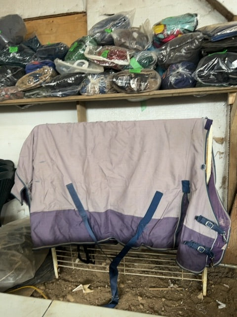 Purple Canadian Horsewear Maxim Winter Turnout, 80”