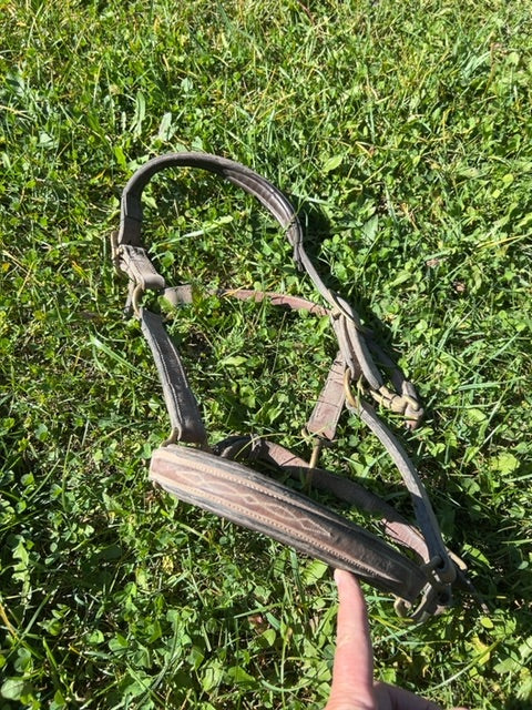 Leather Halter, Full