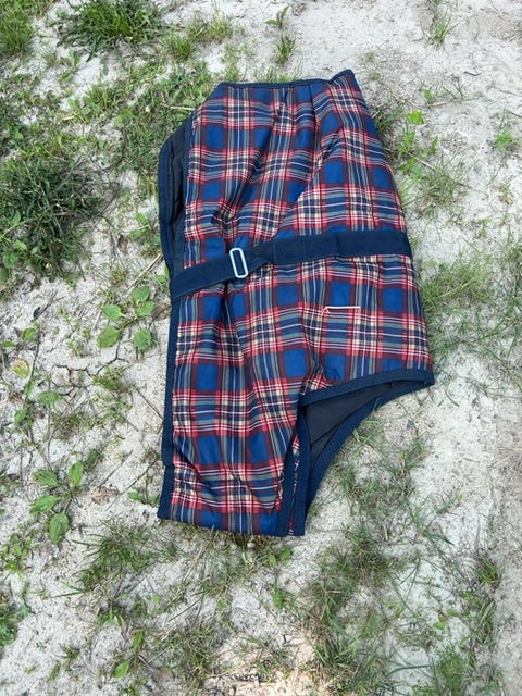 Plaid Goliath Winter, Foal