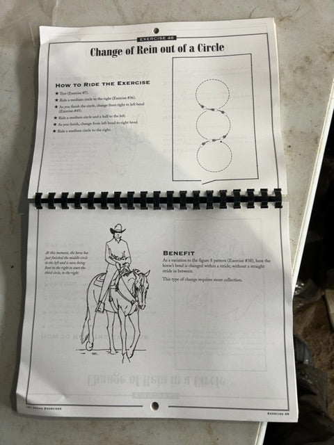 Cherry Hill 101 Arena Excercises