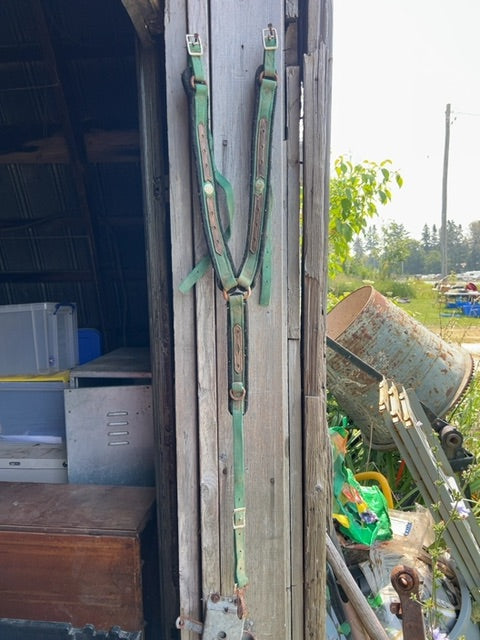 Green  Breast Collar, Full