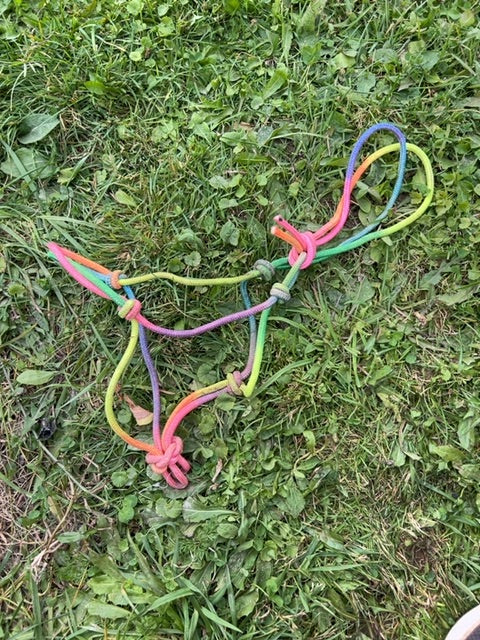 Rainbow  Rope Halter, Pony