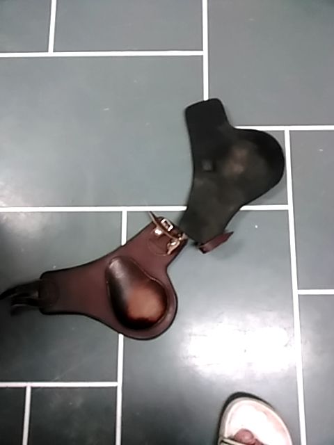 Brown  Hind boots, Horse