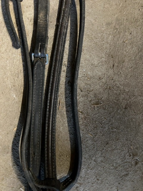 Brown Raised Standing Martingale, Horse